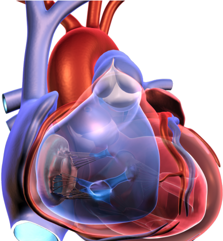 Meatloaf Clipart Transparent - د ناصر محمد خير مغربي (640x480), Png Download