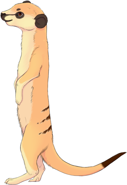 Recent Images - Meerkat (500x650), Png Download