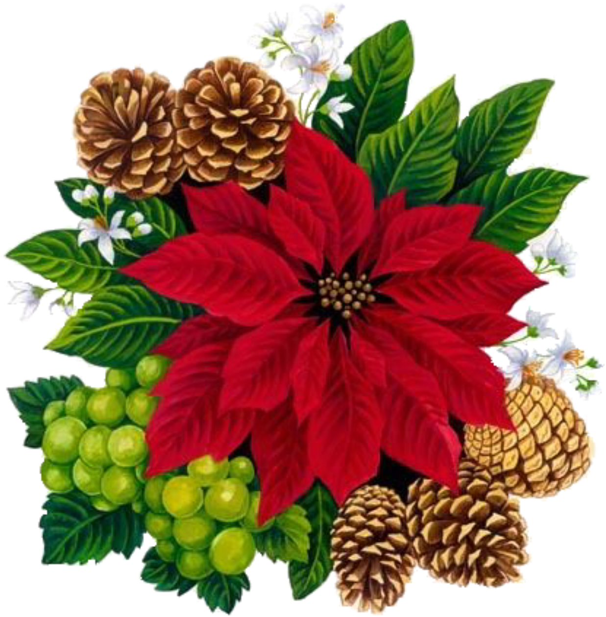 Vintage Christmas Rose - Laminas Decoupage Navidad Flores (1266x1280), Png Download