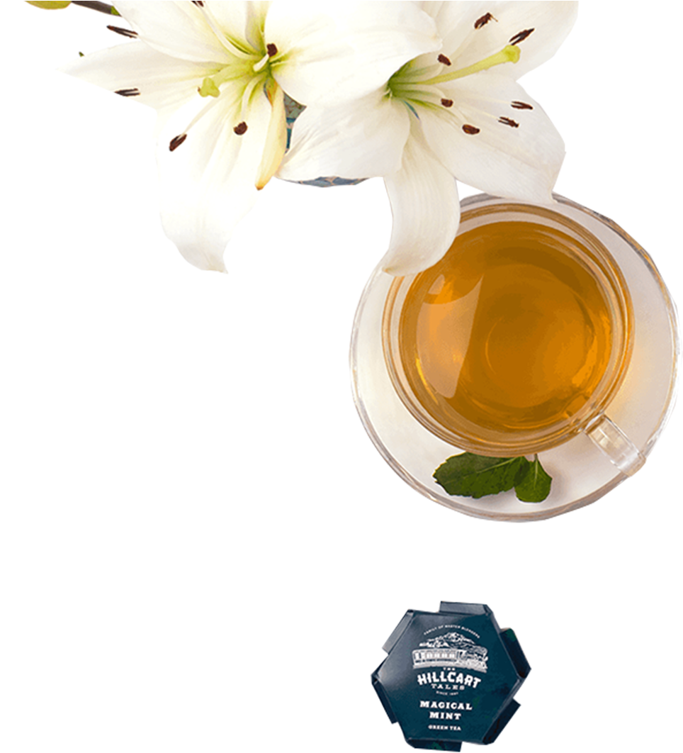 Catalog/green Tea/magical Mint T - Glass Bottle (1300x1300), Png Download