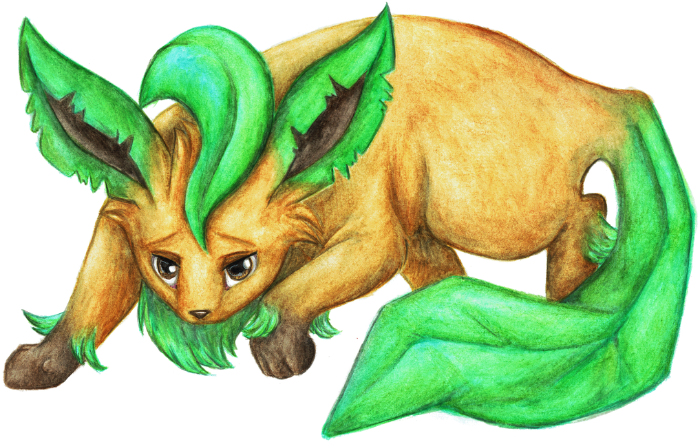 Pokemon - Leafeon - Cartoon (1024x646), Png Download