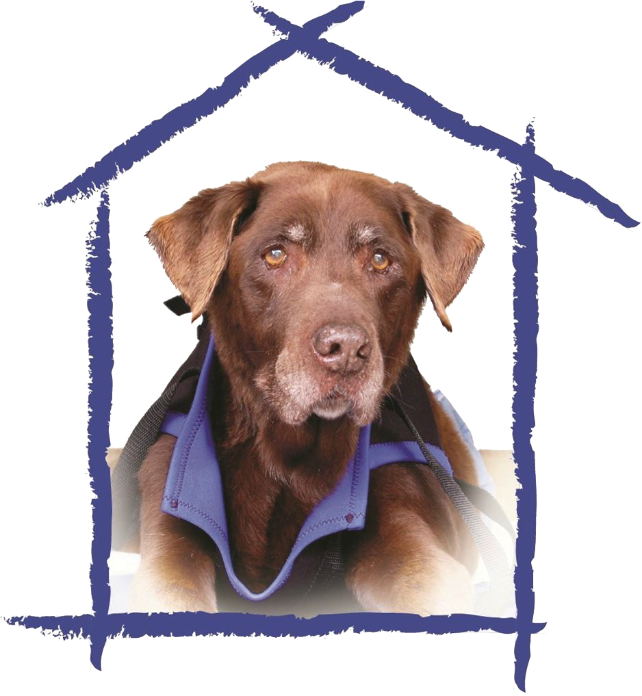 Our Mission - Marty's Place (950x1041), Png Download