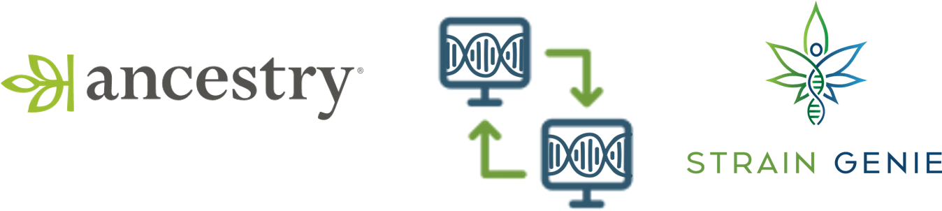 Ancestry.com (1347x454), Png Download