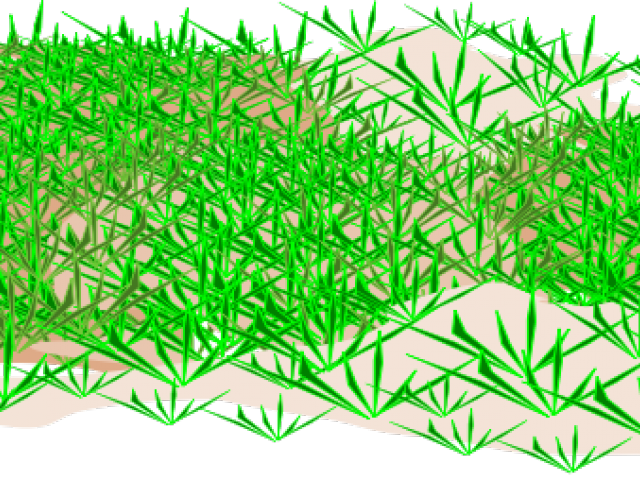 Ground Clipart Grass - Grass (640x480), Png Download