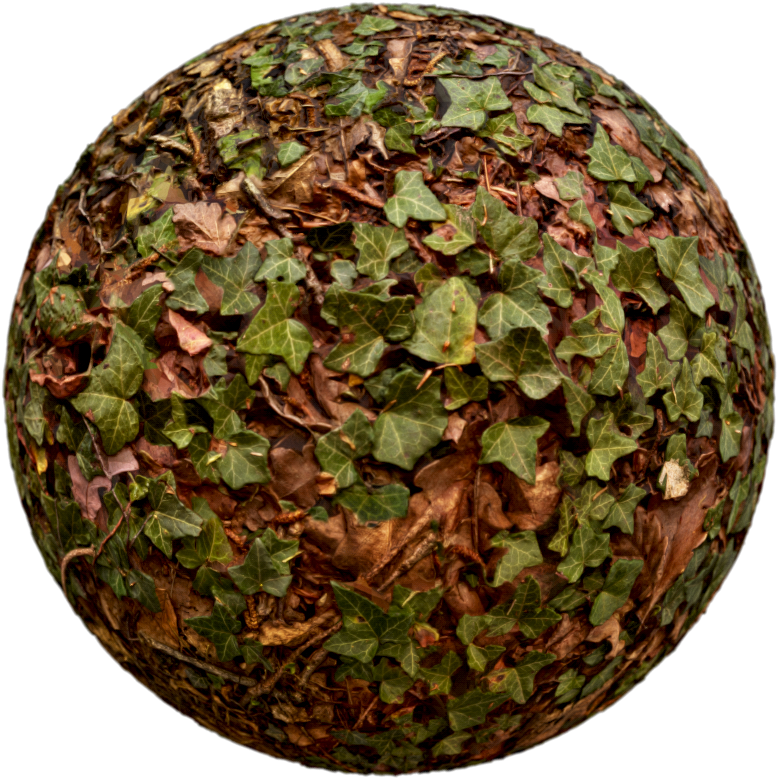 Showcase3 - Circle (887x887), Png Download