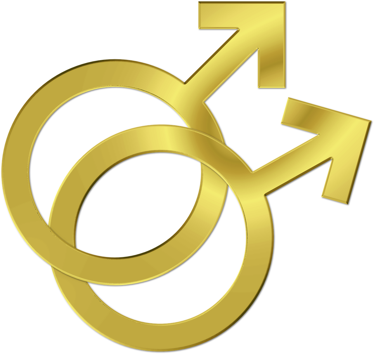 Gay Symbol Couple Marriage Lgbt Png Image (1280x1212), Png Download