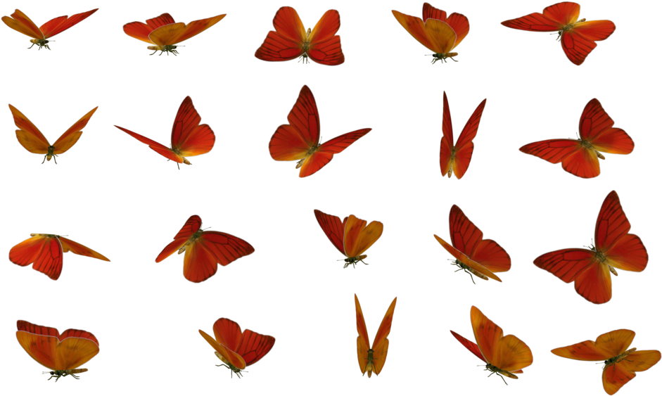 Butterfly, Stock Photography, Rendering, Leaf, Moths - 10 Mariposas En Diferentes Posiciones (1024x674), Png Download