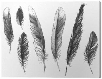 Watercolor Black And White Monochrome Feather Set Isolated - Zwart Wit Fotos Veer (400x400), Png Download