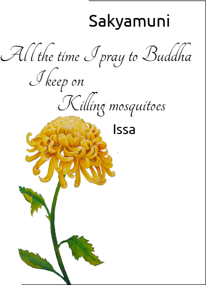 Issa Haiku - Haiku (427x554), Png Download