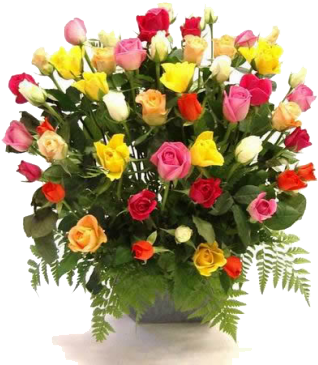 Centro De Rosas Multicolor - Que Te Mejores Pronto Con Rosas (325x375), Png Download