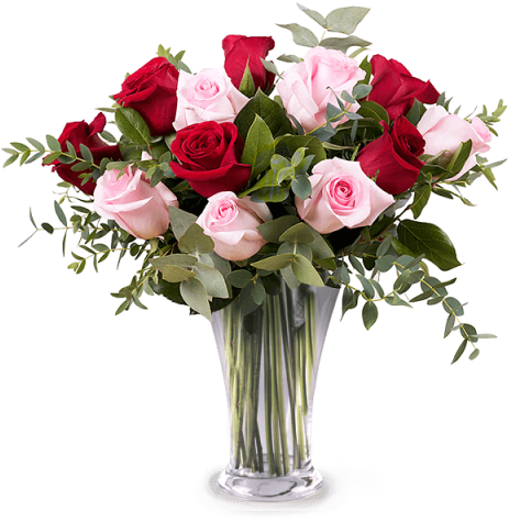6 Rosas Rojas, 6 Rosas Rosadas, Gypsophila Y Follaje - Mothers Day Flowers 2018 (480x480), Png Download