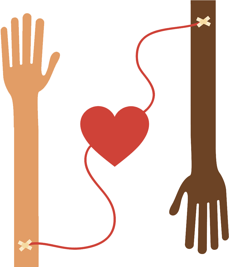 Blood Donation Png Photo - Doe Sangue Doe Vida (1023x1024), Png Download