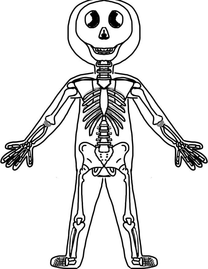 Clip Art Free Body Clipart Black And White - Bones In A Body Clipart (678x877), Png Download