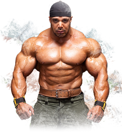 Does - Tiger Shroff Photo Body Builder (430x475), Png Download