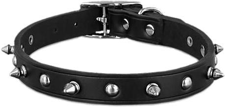 Black Leather Spike Dog Collar - Bond & Co. Black Leather Spike Dog Collar, Large (475x475), Png Download