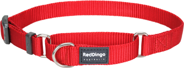 Classic Martingale Dog Collar - Red Dingo Mc-zz-re-sm Martingale Dog Collar Classic (600x222), Png Download