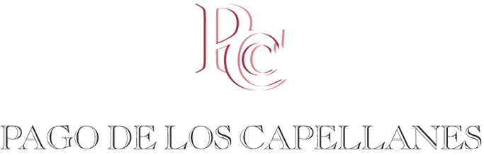 Download HD 1785d9 Sub Etiquetas B&g-03 - Pago De Los Capellanes Logo Transparent PNG Image - NicePNG.com