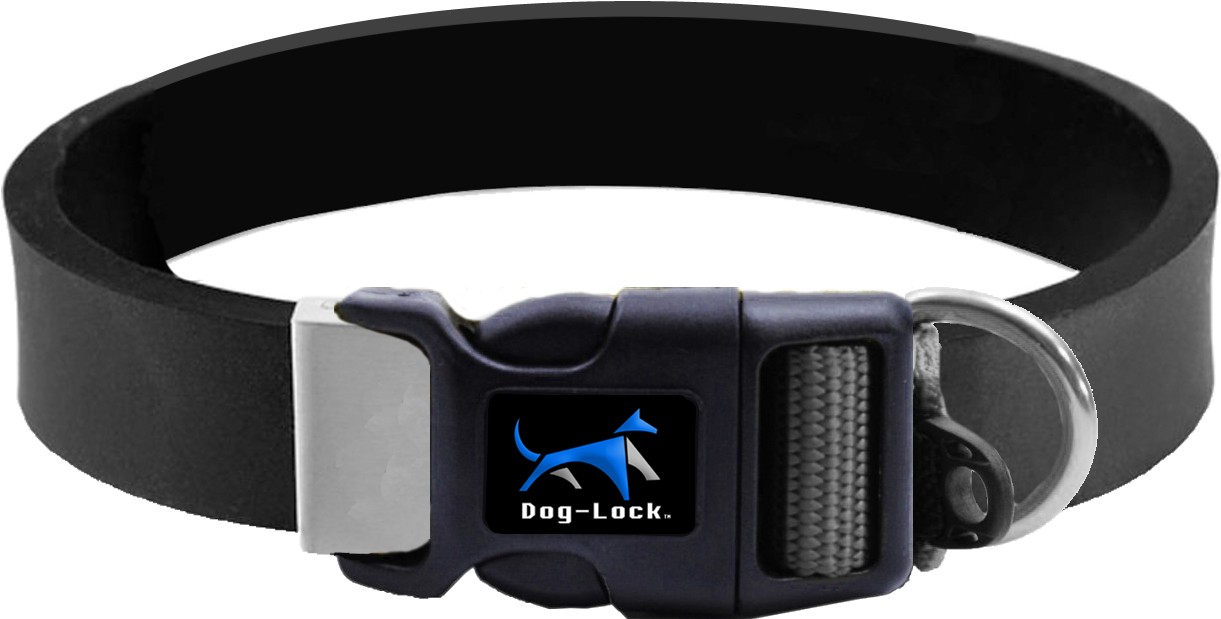 Collar Gps Png (1400x700), Png Download