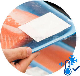 Etiquetas Para Congelados - Label (360x334), Png Download