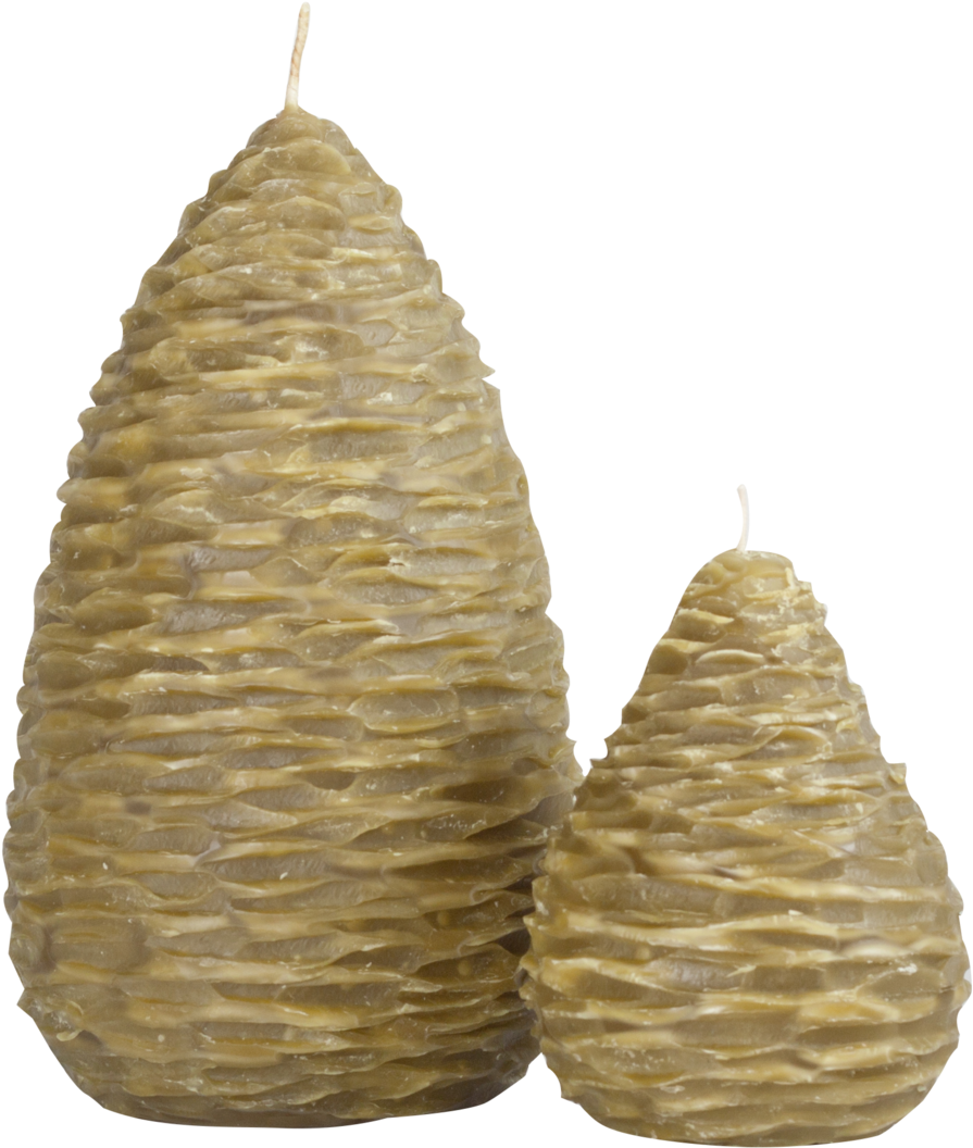 Pine Cone Pears (1000x1187), Png Download