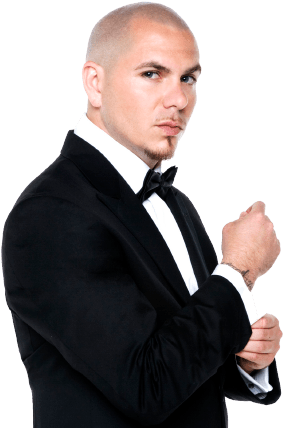 Pitbull Artist - Pit Bull Mr World Wide (295x428), Png Download