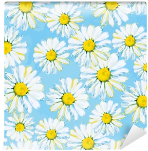 Daisies On The Light Blue Background - African Daisy (400x400), Png Download
