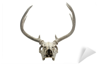 Deer (400x400), Png Download