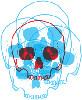 Deer Skull Png (1000x405), Png Download