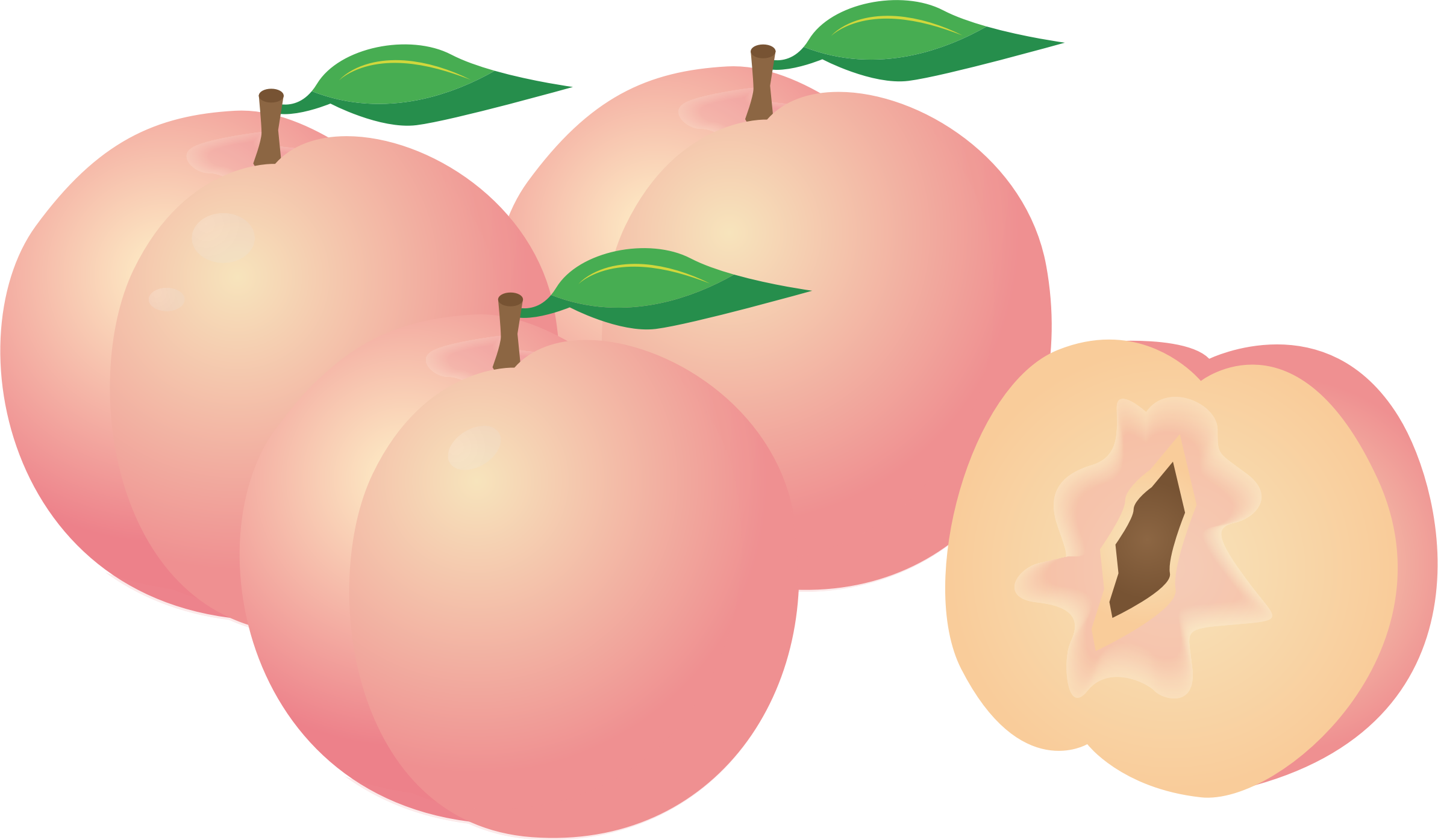 Medium Image - Peaches Clipart (796x465), Png Download
