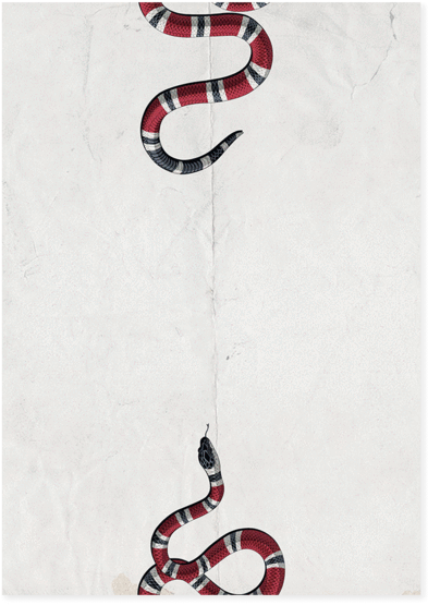 Uglybennyco Limited Edition Wall Art Print - Human (600x600), Png Download