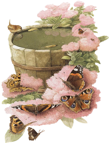 Иллюстрации Bastin Marjolein - Watercolor Painting (389x500), Png Download