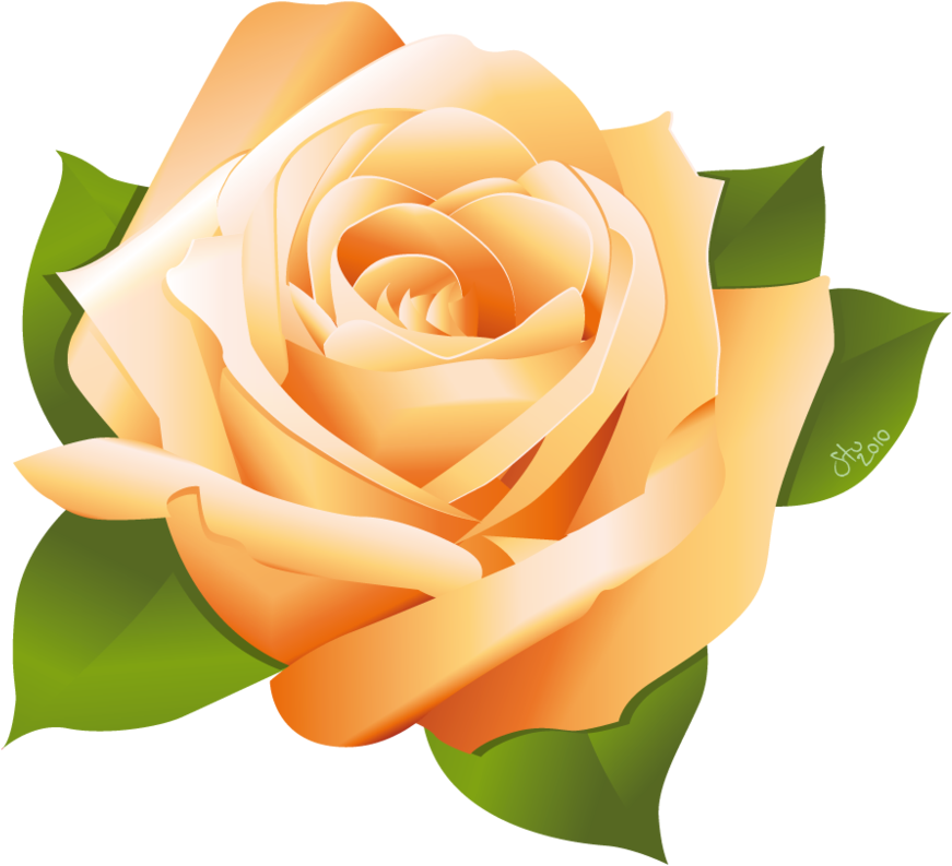 Rose Vector By Stoobainbridge On Clipart Library - Yellow Rose Vector Png (931x859), Png Download