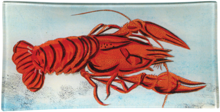 John Derian Company Inc Painted Lobster Tray $80 - Panulirus Versicolor (480x480), Png Download