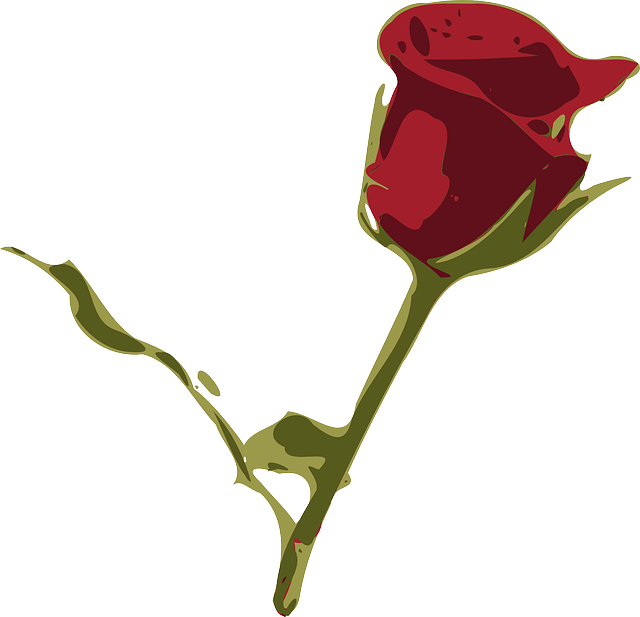 Free Vector Graphic - Rosa Png (640x617), Png Download