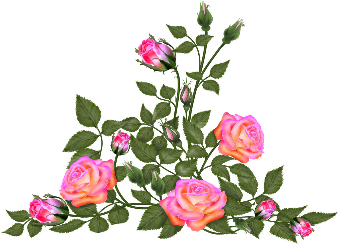 Tubes Png Centerblog Fleurs (1192x860), Png Download