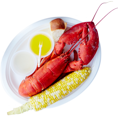 Posted On December 12, 2016 Full Size 500 × 497leave - Dish (500x497), Png Download