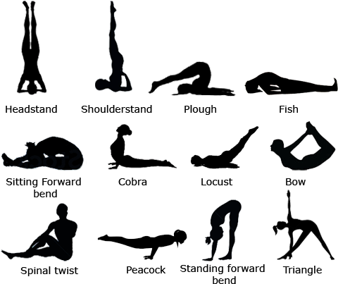Clip Library Stock How To Learn Hatha For Free Quora - 12 Basic Yoga Asanas (589x451), Png Download
