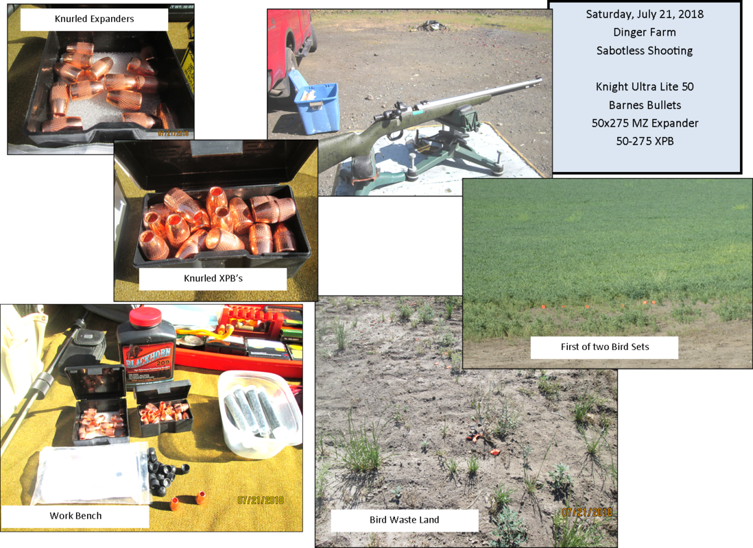 The Is A Great Bullet For This Purpose - Grass (1098x800), Png Download