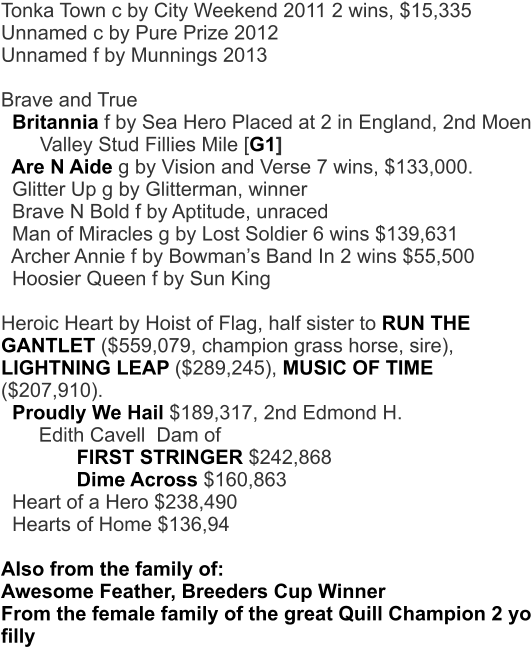 Brave N Bold Tonka Town C By City Weekend 2011 2 Wins, - Document (534x775), Png Download