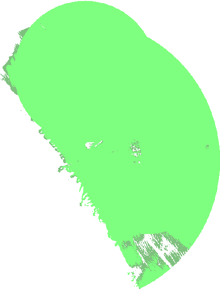 This Page Can't Load Google Maps Correctly - Tree (800x600), Png Download