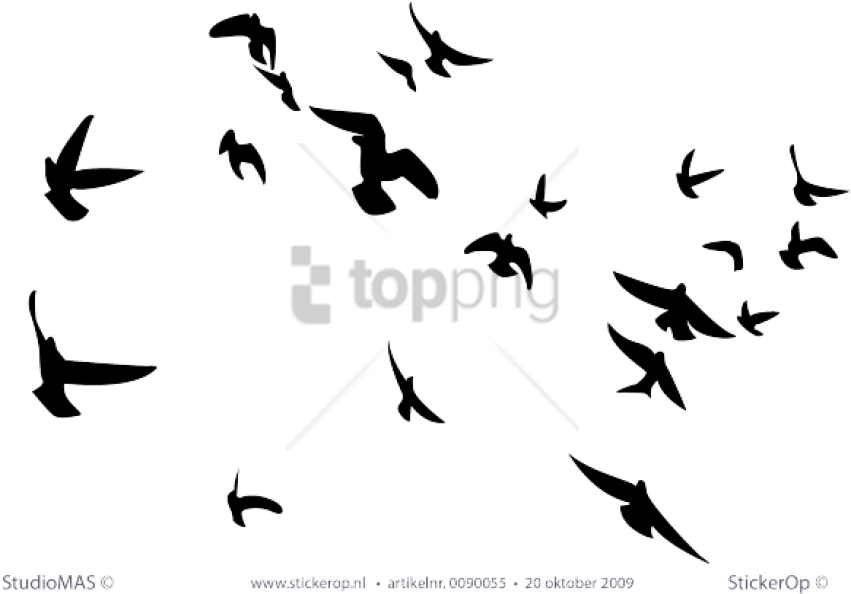 Free Png Wallhogs Soaring Birds Silhouette Wall Decal - Bird B&w Png (851x594), Png Download