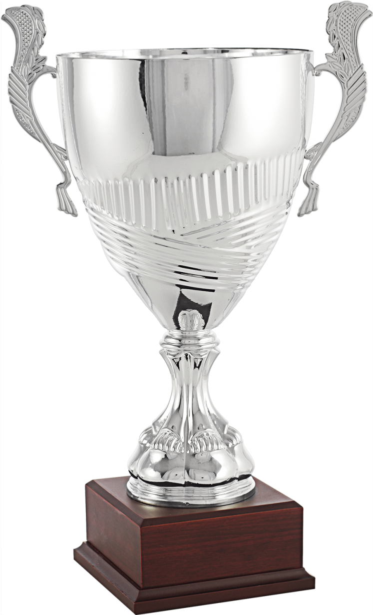 7248-861x1230 - Trophy (861x1230), Png Download