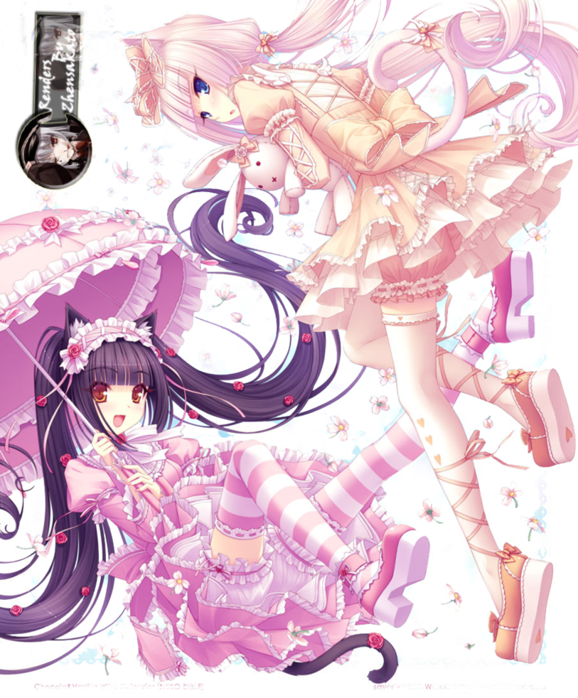 Teehee - - Thigh Highs Neko Girls (813x982), Png Download