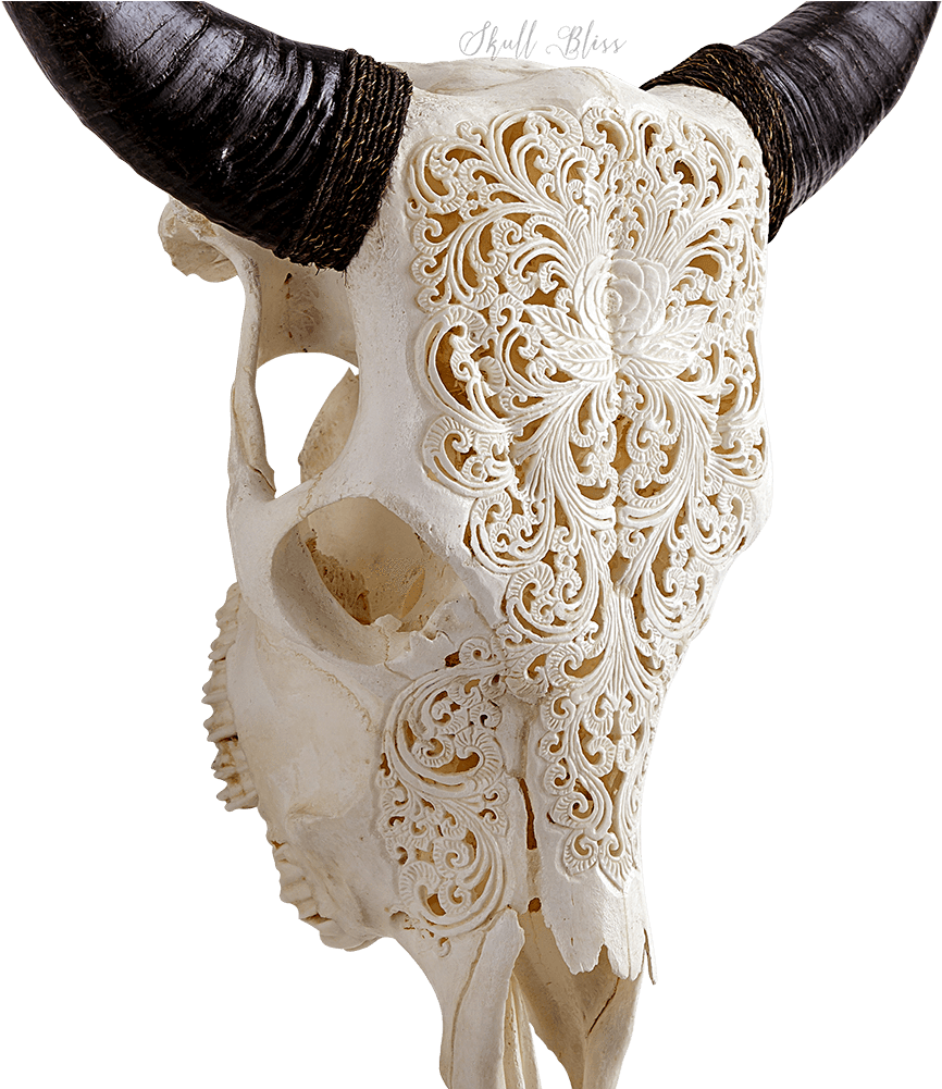 Download Boho Animal Skull Png - Carved Cow Skull Xl Horns Glowing