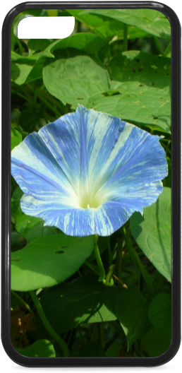 Mobile Phone Case (800x800), Png Download