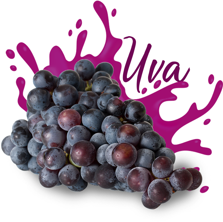 Seedless Fruit (1000x1000), Png Download