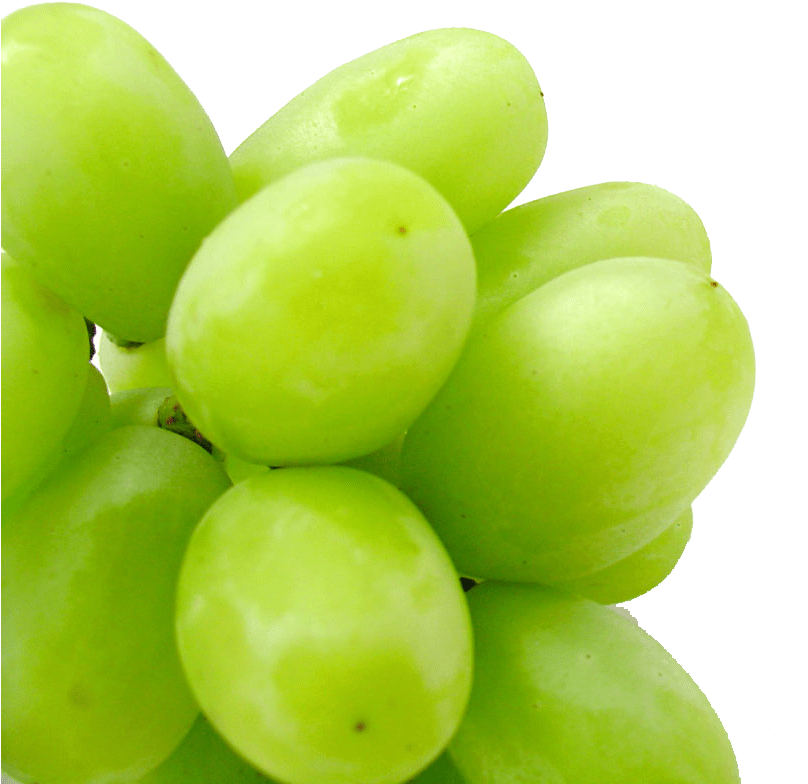Origen - Mallorca Uvasblancas - Kawaii Grapes (1280x960), Png Download