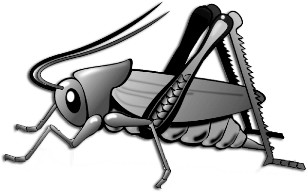 Cricket - Clip Art Cricket Bug (869x434), Png Download