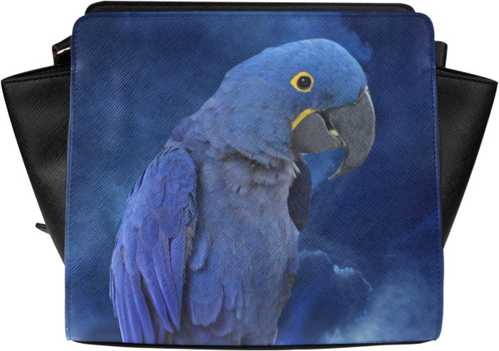 Macaw (1000x1000), Png Download
