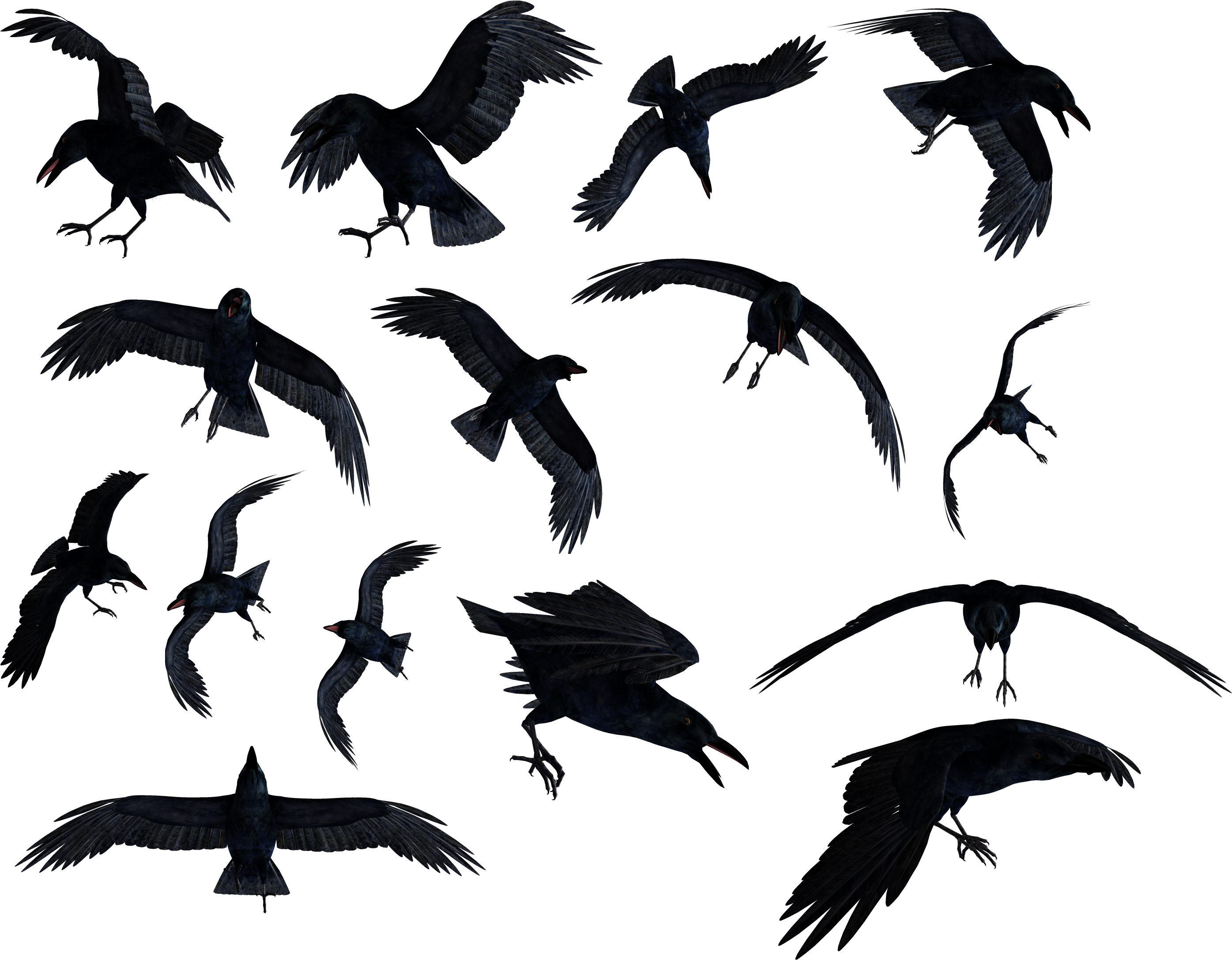 Flock Of Ravens Png (2962x2320), Png Download